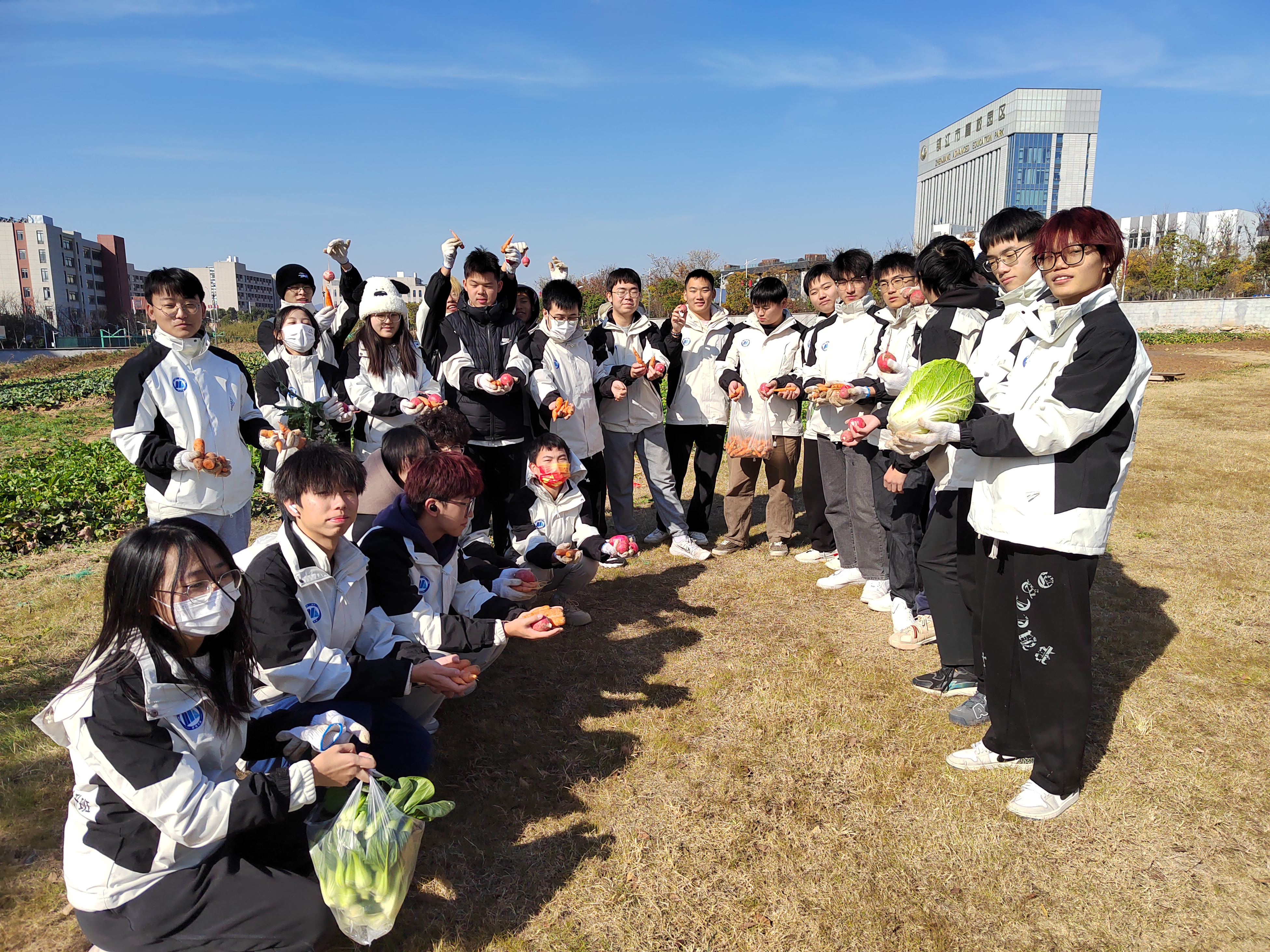 1701421575133956.jpg 劳动5.jpg